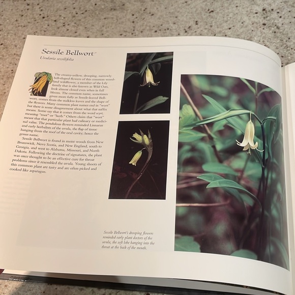 NWT- Mint Rare Vintage USPS Postage Stamps State Wildflowers and Book - Picture 6 of 9